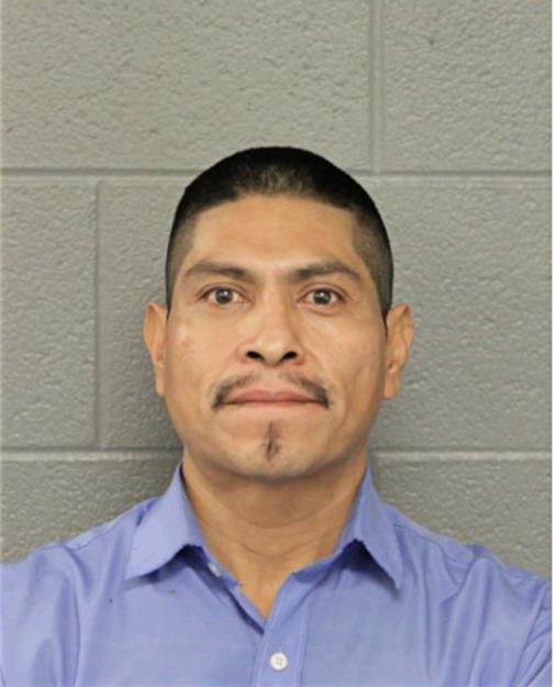 MARCIAL P GARCIA, Cook County, Illinois