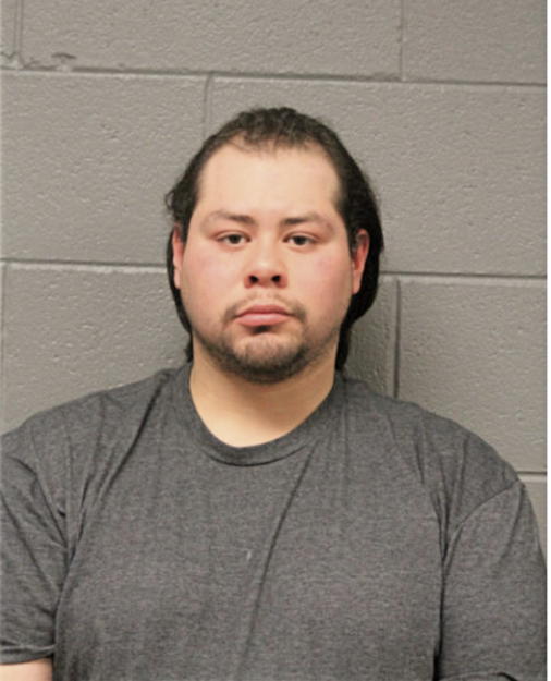 NICHOLAUS JOHN PADIN, Cook County, Illinois