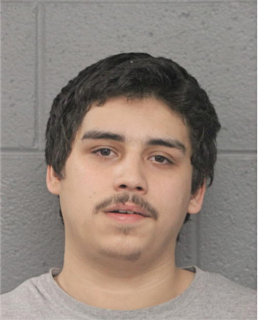 NICHOLAS J SOLIS, Cook County, Illinois