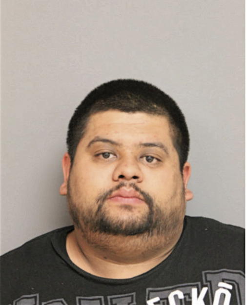 ALFONSO FLORES, Cook County, Illinois