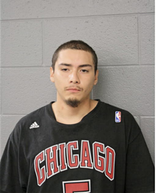 LUIS OLVERA, Cook County, Illinois