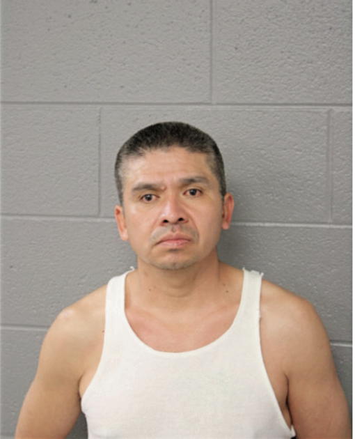 RAFAEL DELGADO, Cook County, Illinois