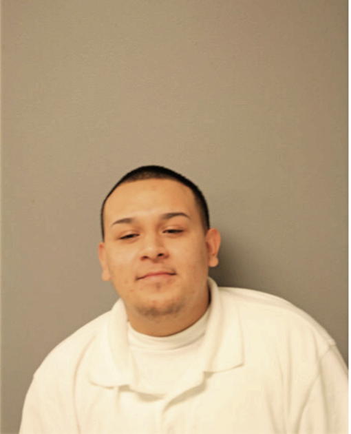 FRANCISCO JAVIER FARFAN-TELLEZ, Cook County, Illinois