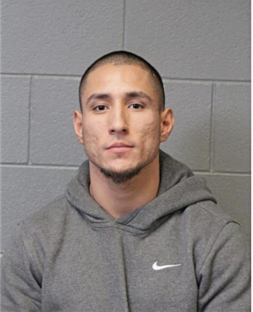 ROLAND N MARTINEZ, Cook County, Illinois