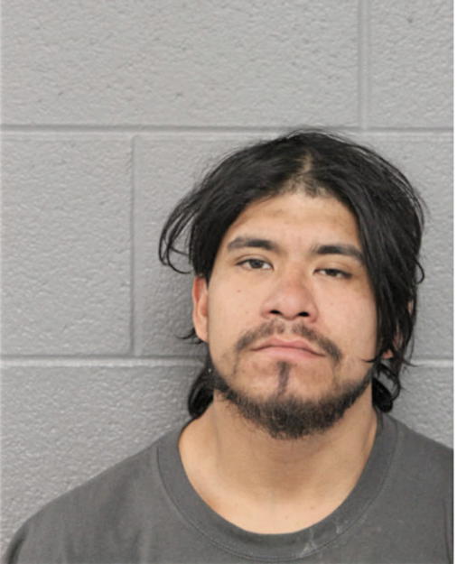 MISAEL M MELCHOR, Cook County, Illinois