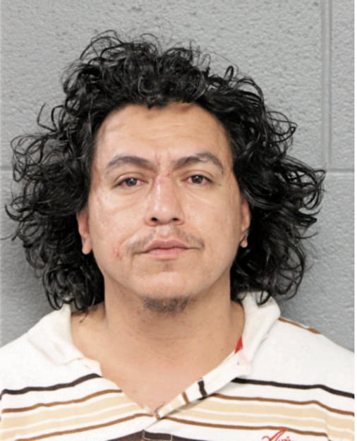 JOSE L LEON, Cook County, Illinois