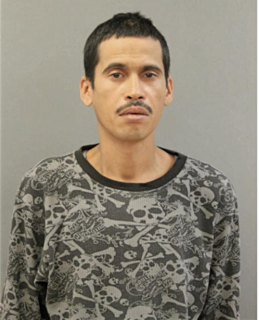 MIGUEL A RAMOS, Cook County, Illinois
