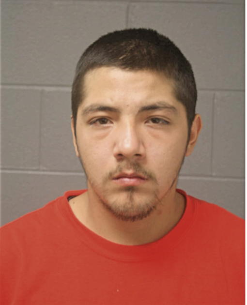 LUIS A TORRES, Cook County, Illinois