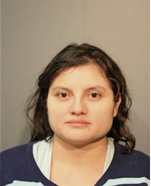 MARIA R RODRIGUEZ, Cook County, Illinois