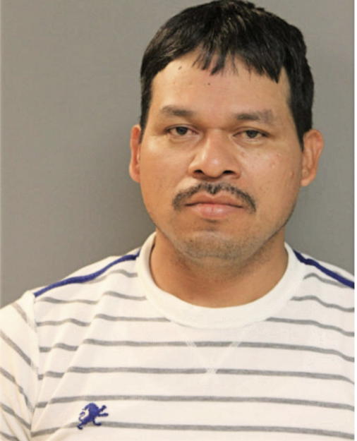 LUIS P TORRES, Cook County, Illinois