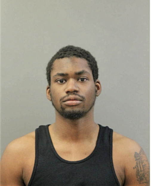 RAY J COLLINS, Cook County, Illinois