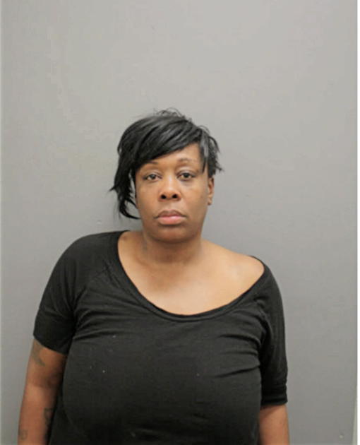 DENISE L SYKES, Cook County, Illinois