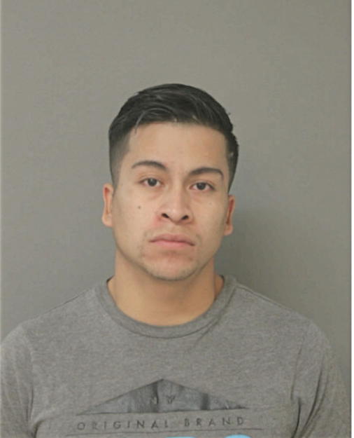 LUIS F DEL TORO, Cook County, Illinois