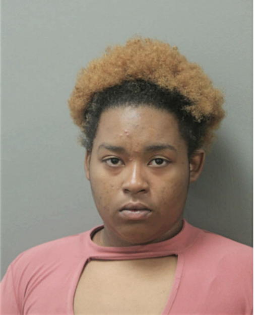 ARIEONNA M HOLEMAN, Cook County, Illinois