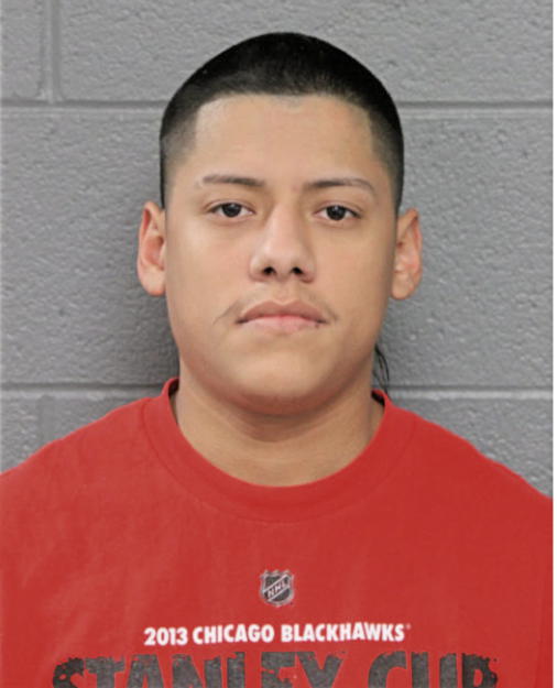 MARTIN TORRES, Cook County, Illinois