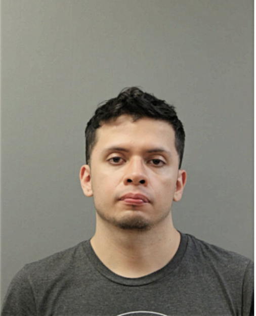 CESAR A ZARATE, Cook County, Illinois