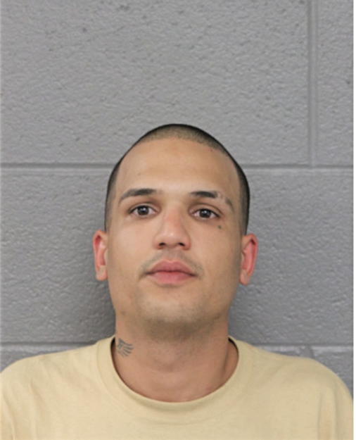 MANUEL A TORRES-FIGUEROA, Cook County, Illinois