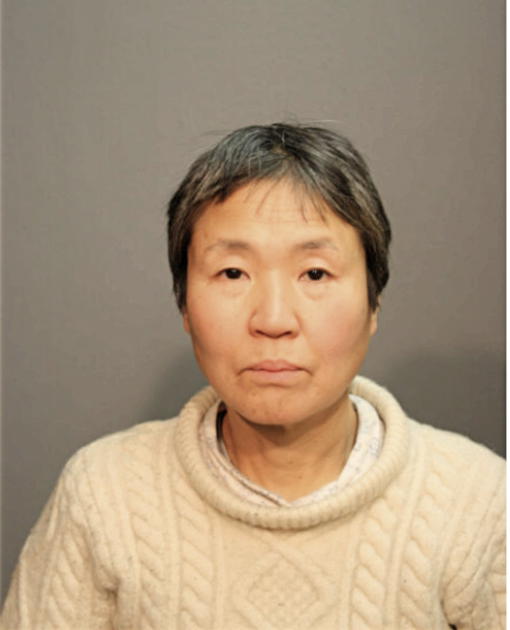 SHIM W CHUNG, Cook County, Illinois