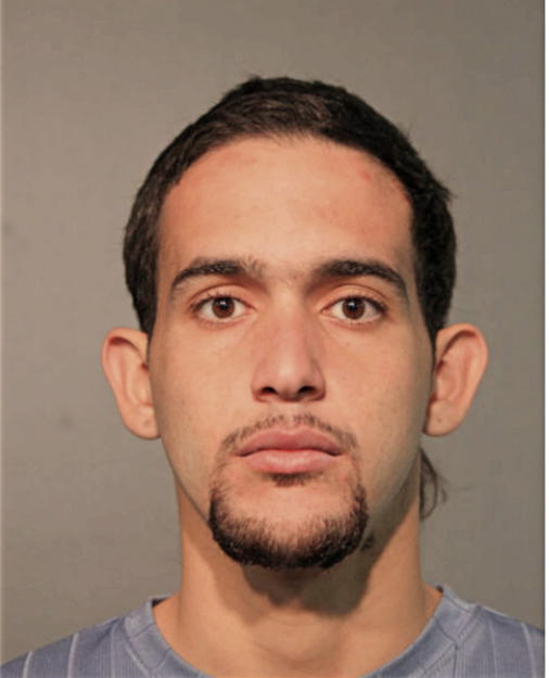RAUL A VEGA-TORRES, Cook County, Illinois