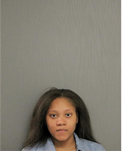 CHENELLE J JAMES, Cook County, Illinois