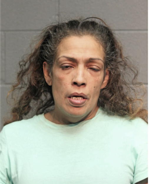 MARIVEL ORTIZ, Cook County, Illinois