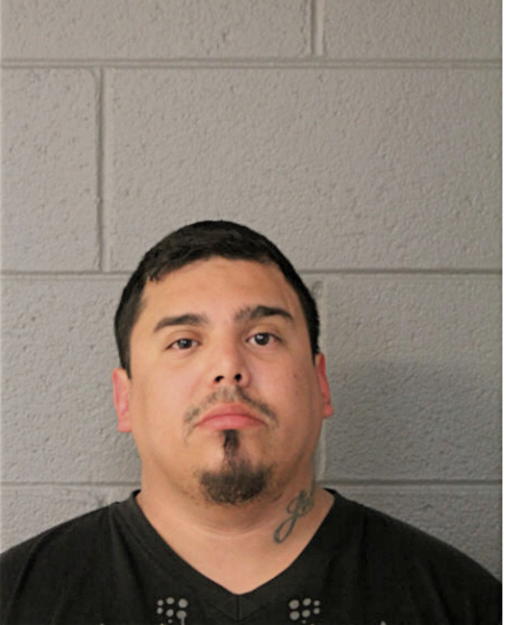 ERIC P TORRES, Cook County, Illinois