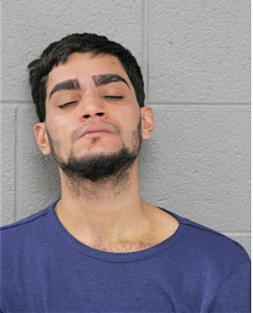 LUIS ANGEL VEGA-SEAZ, Cook County, Illinois