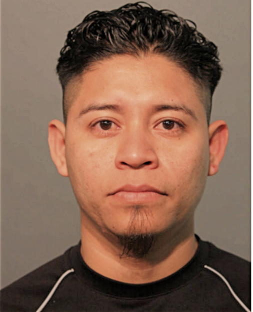 OSMAN G DIAZ-CARDOZA, Cook County, Illinois