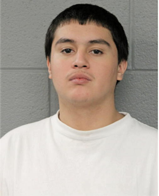 MIGUEL A TORRES, Cook County, Illinois