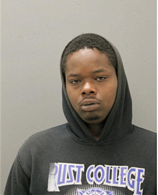 JAMICHAEL M TAYLOR, Cook County, Illinois