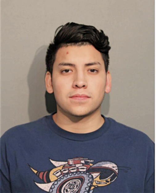 RUBEN ALEJANDRO DELGADO, Cook County, Illinois