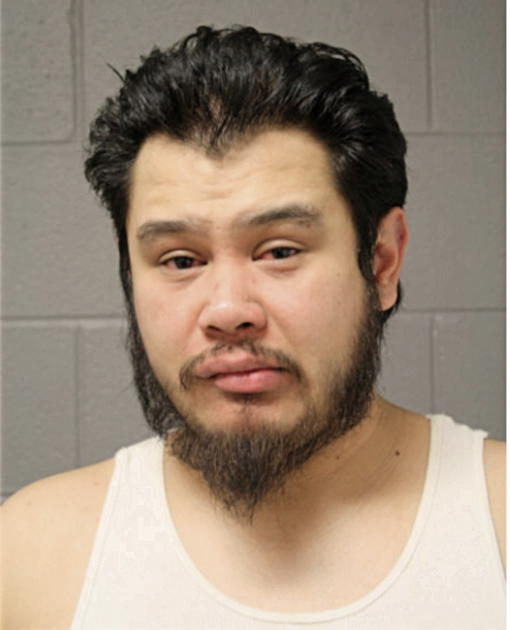 ANTHONY C MERCADO, Cook County, Illinois