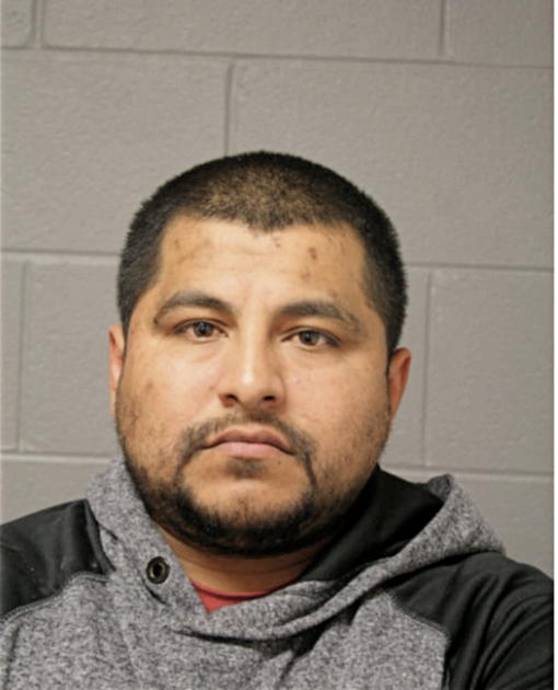 JULIO C GALLEGOS-CASTILLO, Cook County, Illinois