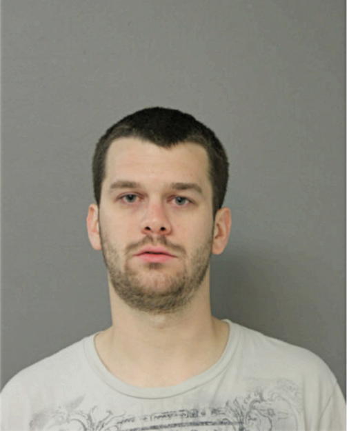 ANDREW D KARLSON, Cook County, Illinois
