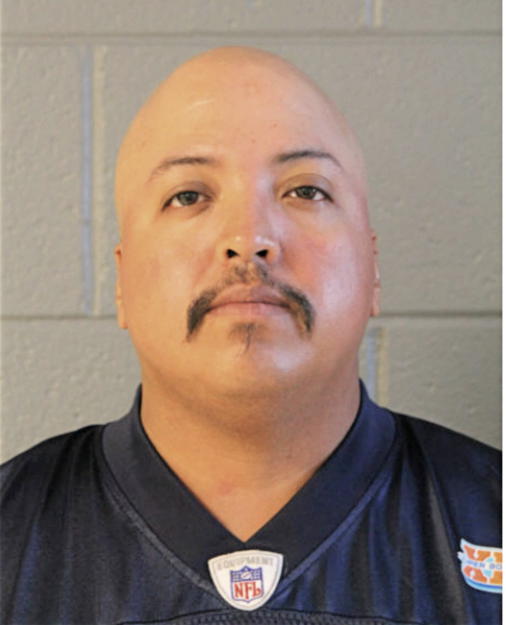 JUAN M PONCE, Cook County, Illinois