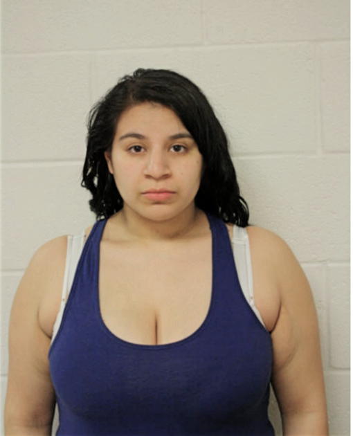 ANA LEAL, Cook County, Illinois