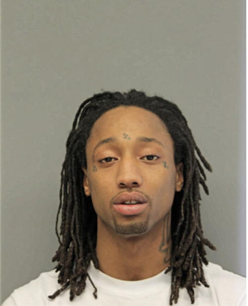 DEVIN J WARNICK, Cook County, Illinois