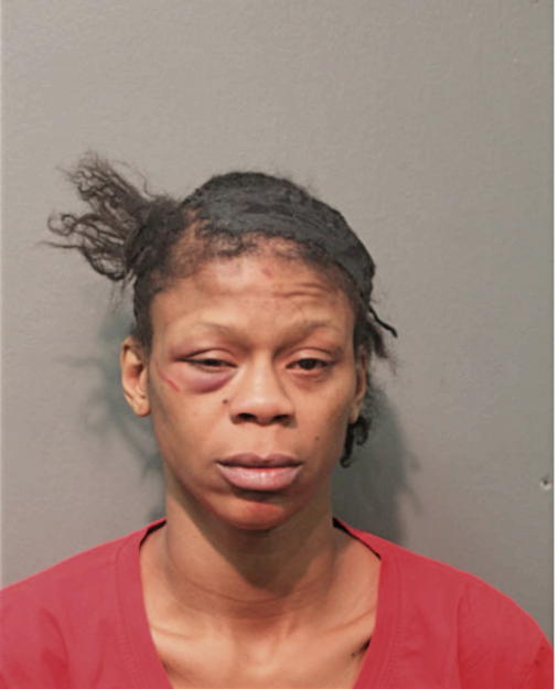 SETINA L ROBINSON, Cook County, Illinois