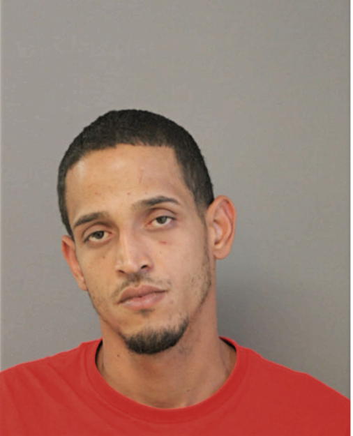 LUIS RIVERA-GONZALEZ, Cook County, Illinois