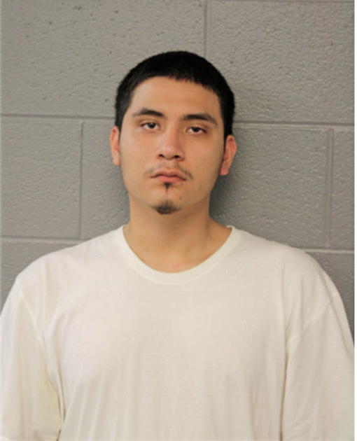 VICTOR J RODRIGUEZ, Cook County, Illinois