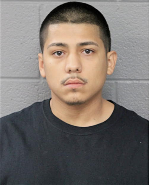 DAVID TORRES, Cook County, Illinois