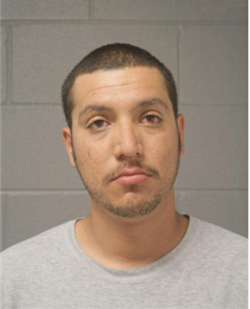 JUAN A TORRES, Cook County, Illinois