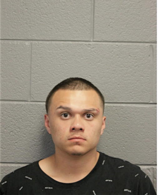 MICHAEL D CANO, Cook County, Illinois