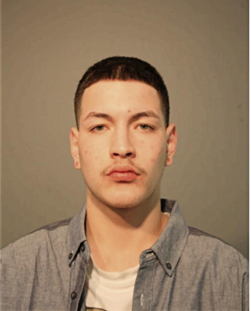 MICHAEL L GALINDO, Cook County, Illinois