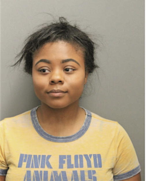 PORSCHA L JAMES, Cook County, Illinois