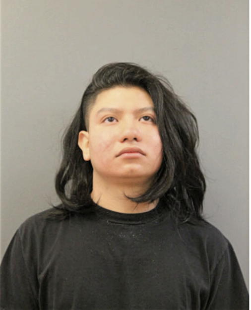 JONATHON JAVIER DELGADO, Cook County, Illinois