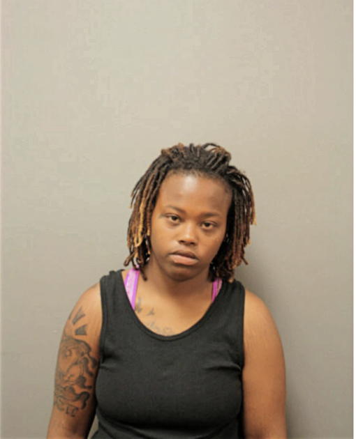 BRITTANY N HOPSON, Cook County, Illinois