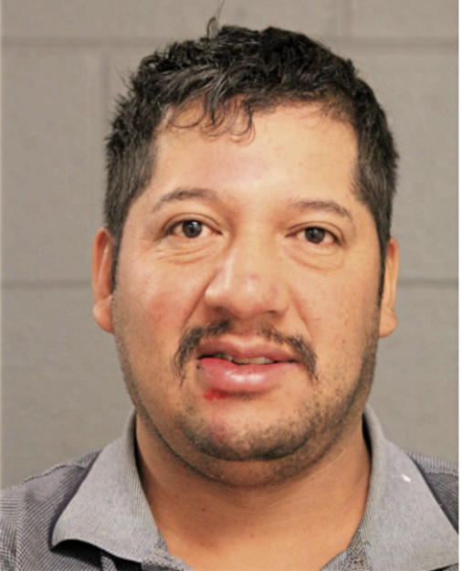 FORTINO SUAREZ-VILCHIZ, Cook County, Illinois