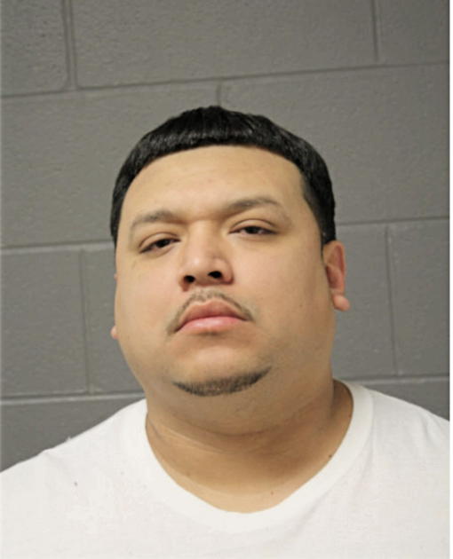 LUIS L PIMENTEL, Cook County, Illinois