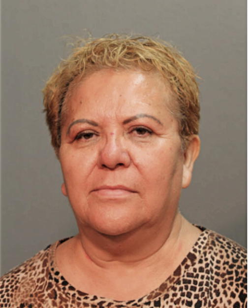 HILDA NAVARRO, Cook County, Illinois